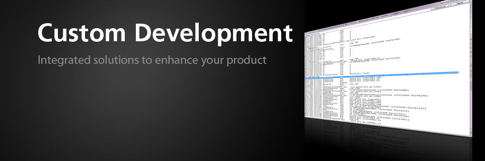 Custom Development — Integrated solutions to enhance your product